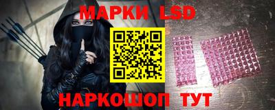 индика Брянск