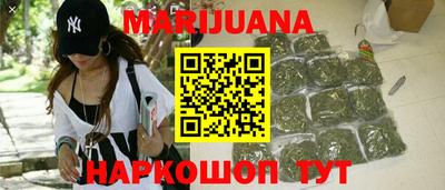 индика Брянск