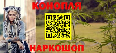 индика Брянск