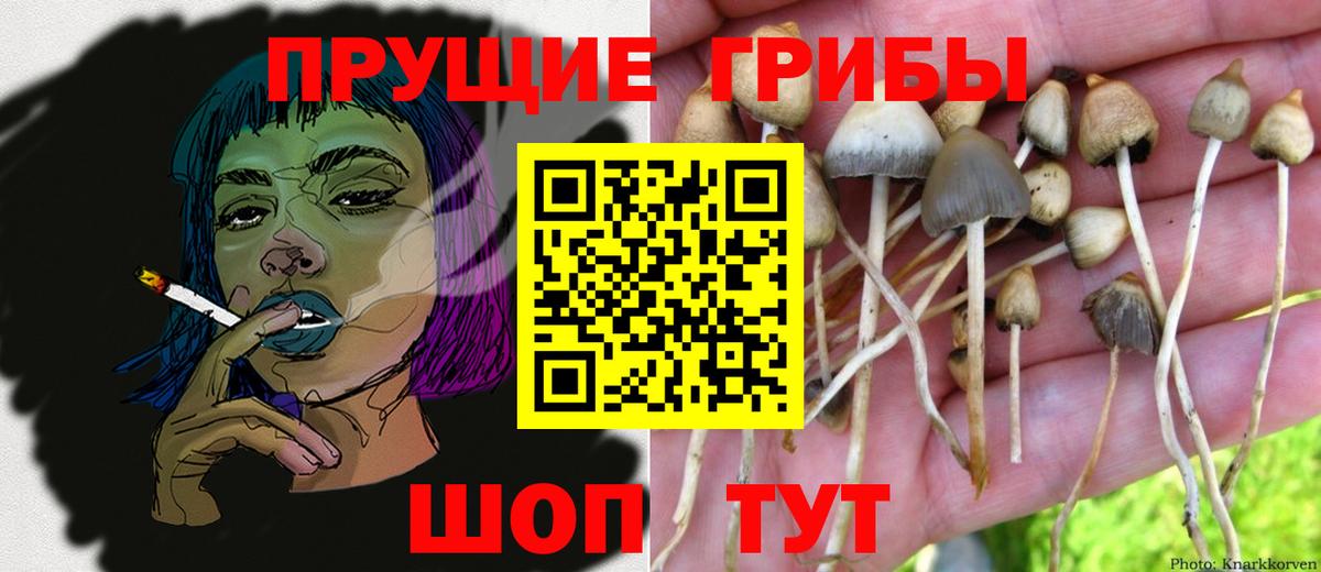 Псилоцибиновые грибы ЛСД Севастополь